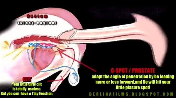 Vídeos anatomia travesti populares