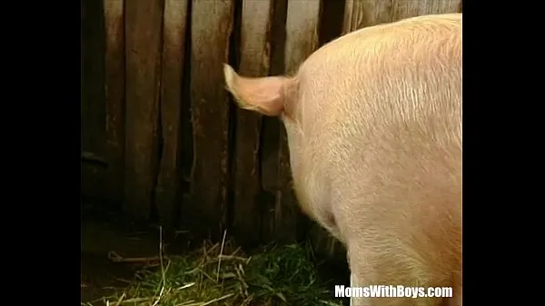 Heta Brunette Lady Farmer Hairy Pussy Barn Fucked klipp Videor